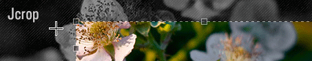 /images/posts/0000/0322/jcrop_big.png