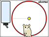 Hamstergadget_thumb