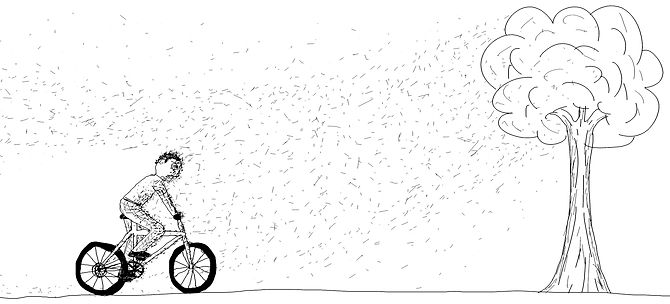 /images/posts/0000/1666/baum-bukkake_big.png